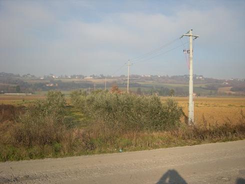 Tre toka bujqësore në Perugia - LOTI 3
