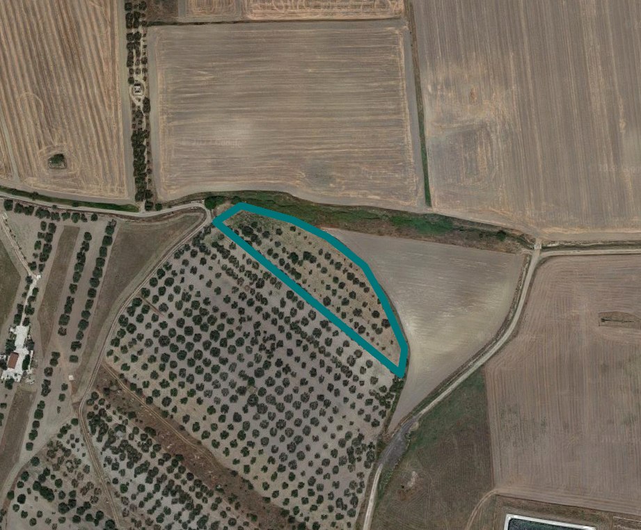 Terrenos agrícolas en Lucera (FG) - LOTE 6