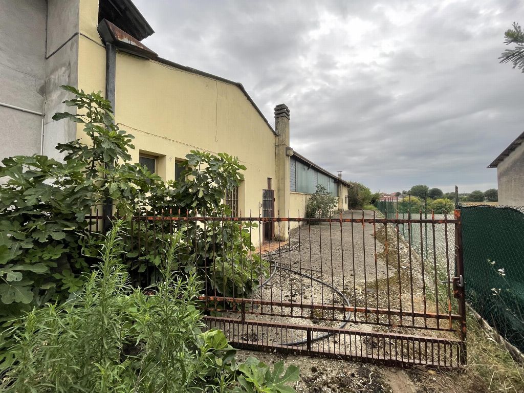 asta Opificio a Casaleone VR 00005 asta Opificio a Casaleone VR 00005