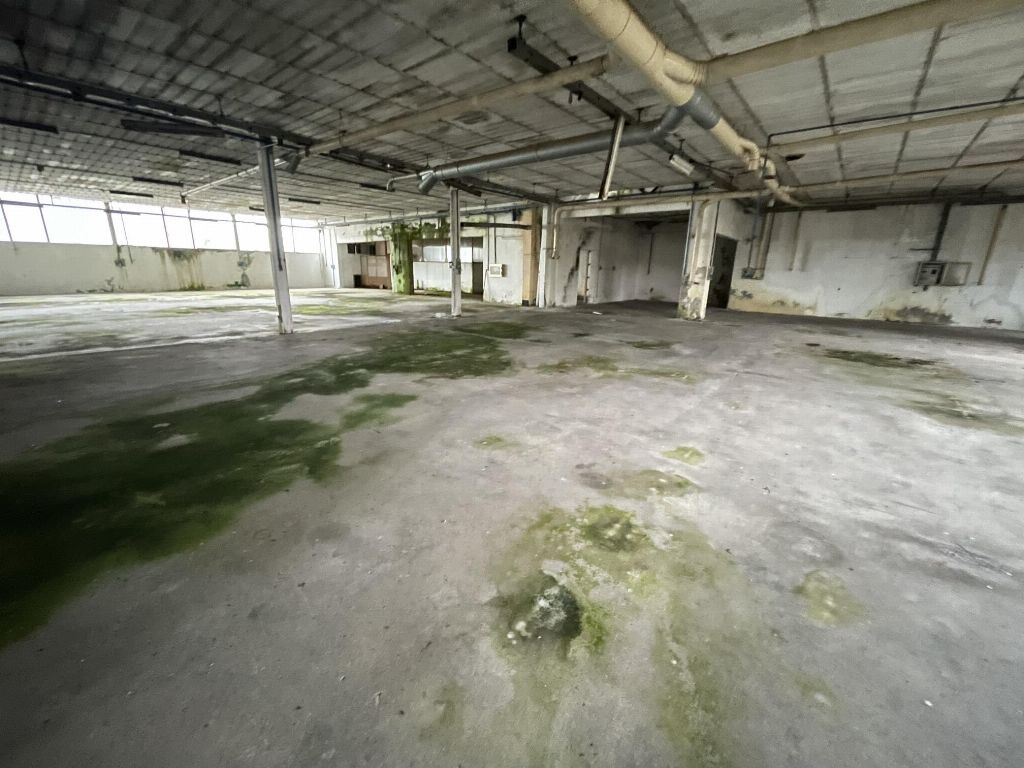 asta Opificio a Casaleone VR 00018 asta Opificio a Casaleone VR 00018